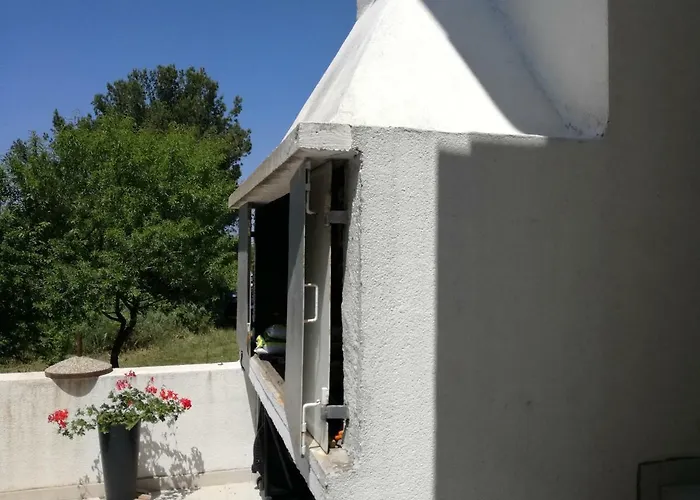 & Hegic Ζαντάρ