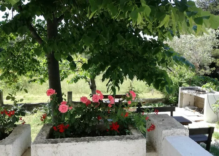 Διαμέρισμα & Hegic Ζαντάρ