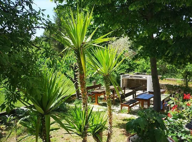 Апартаменты & Hegic *